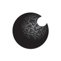 BAY TEK RIGHT EYEBALL DECAL