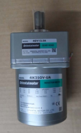 ICE CONVEYOR BELT MOTOR