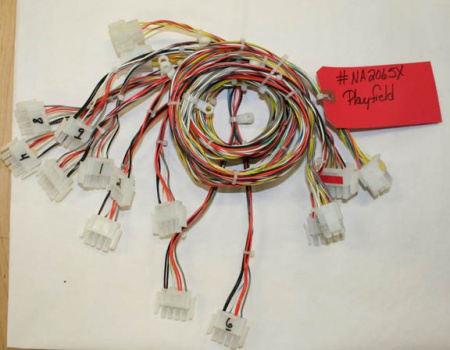 ICE PLAYFIELD HARNESS