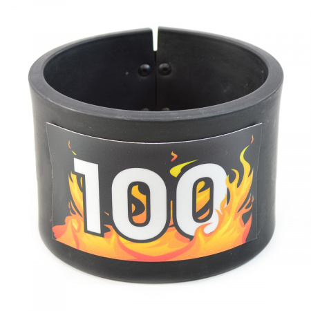 BAY TEK 100 POINT TARGET