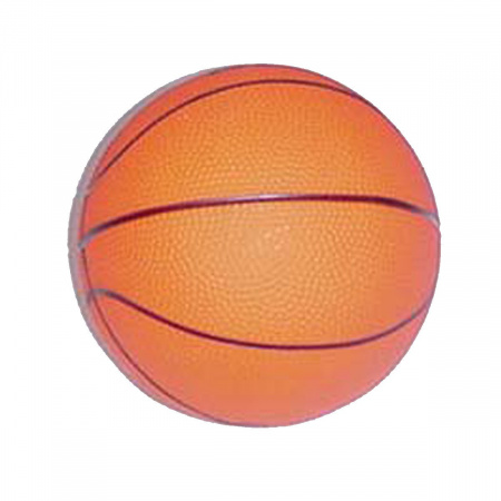 ICE 5-in. Mini Basketball